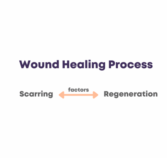 Cellular Reprogramming and Homeostasis Cellular Reprogramming and Homeostasis